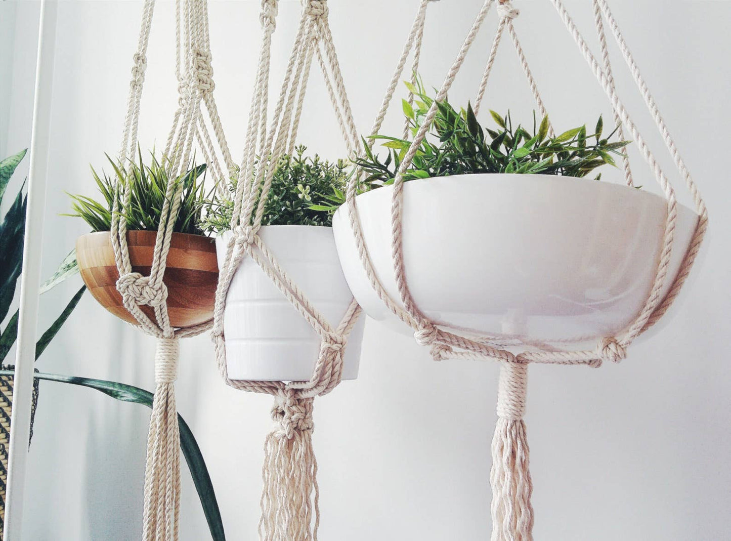 Macrame Plant Hanger. Hanging Planter, Macrame Plant Holder: Style 1