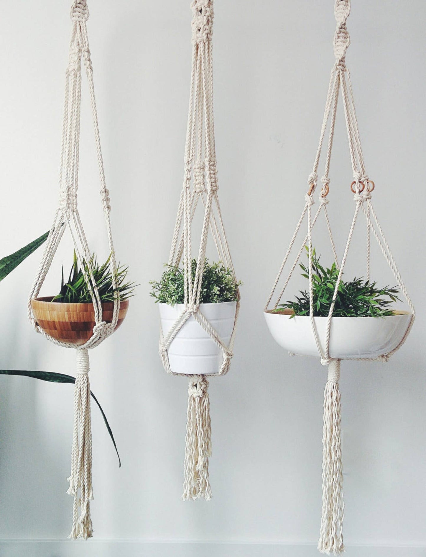 Macrame Plant Hanger. Hanging Planter, Macrame Plant Holder: Style 1