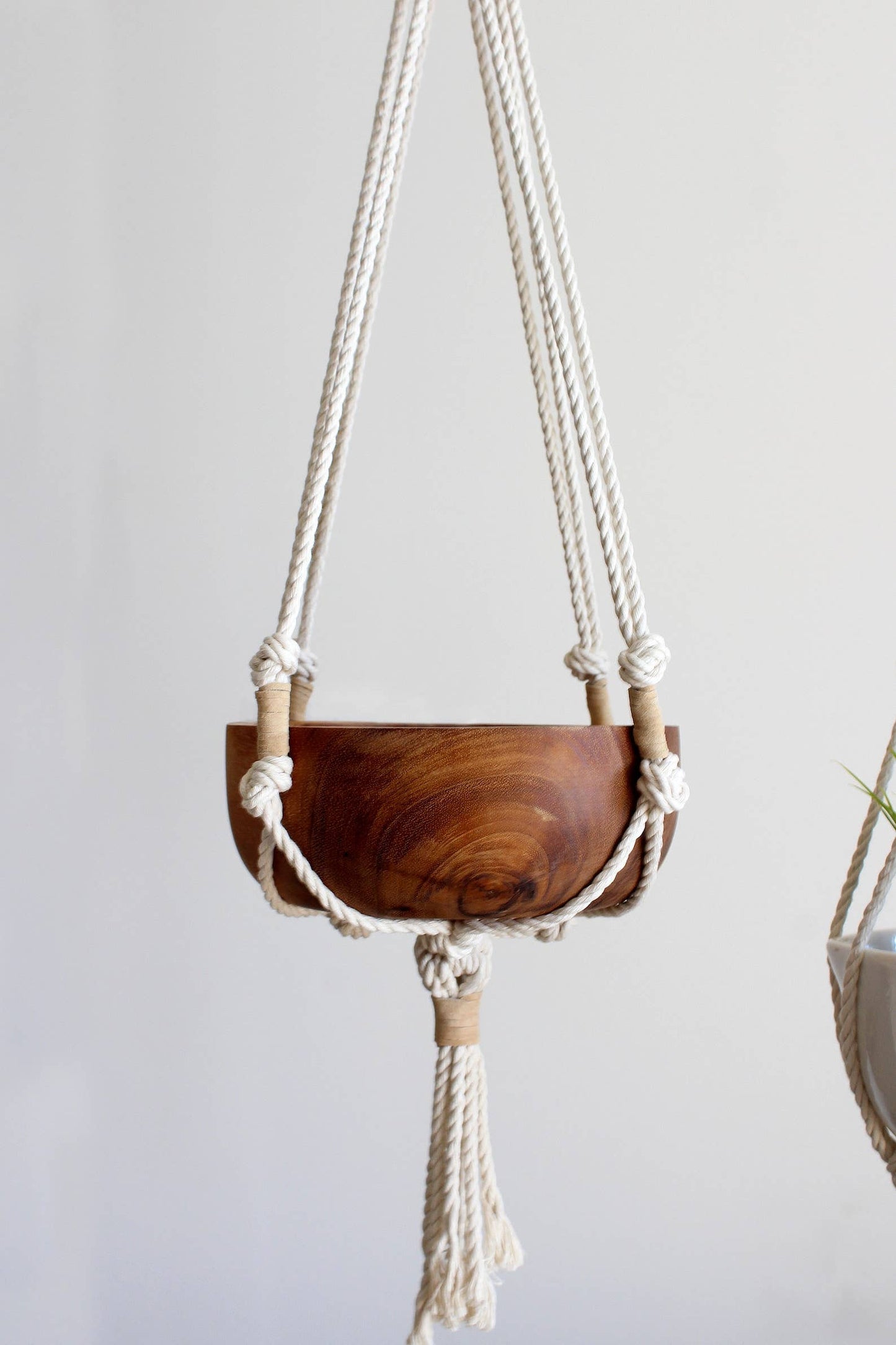 Macrame Plant Hanger, Hanging Planter, Cotton & Leather Sued: 1