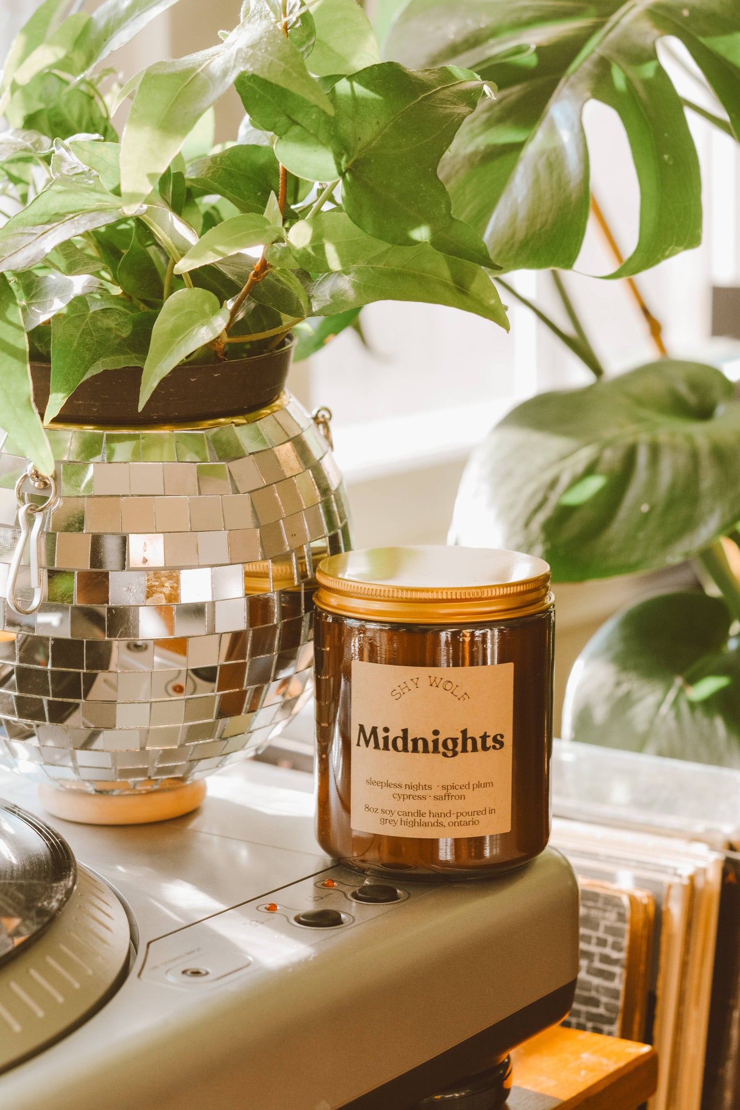 Midnights - Taylor Swift Inspired Soy Candle - Spiced Plum