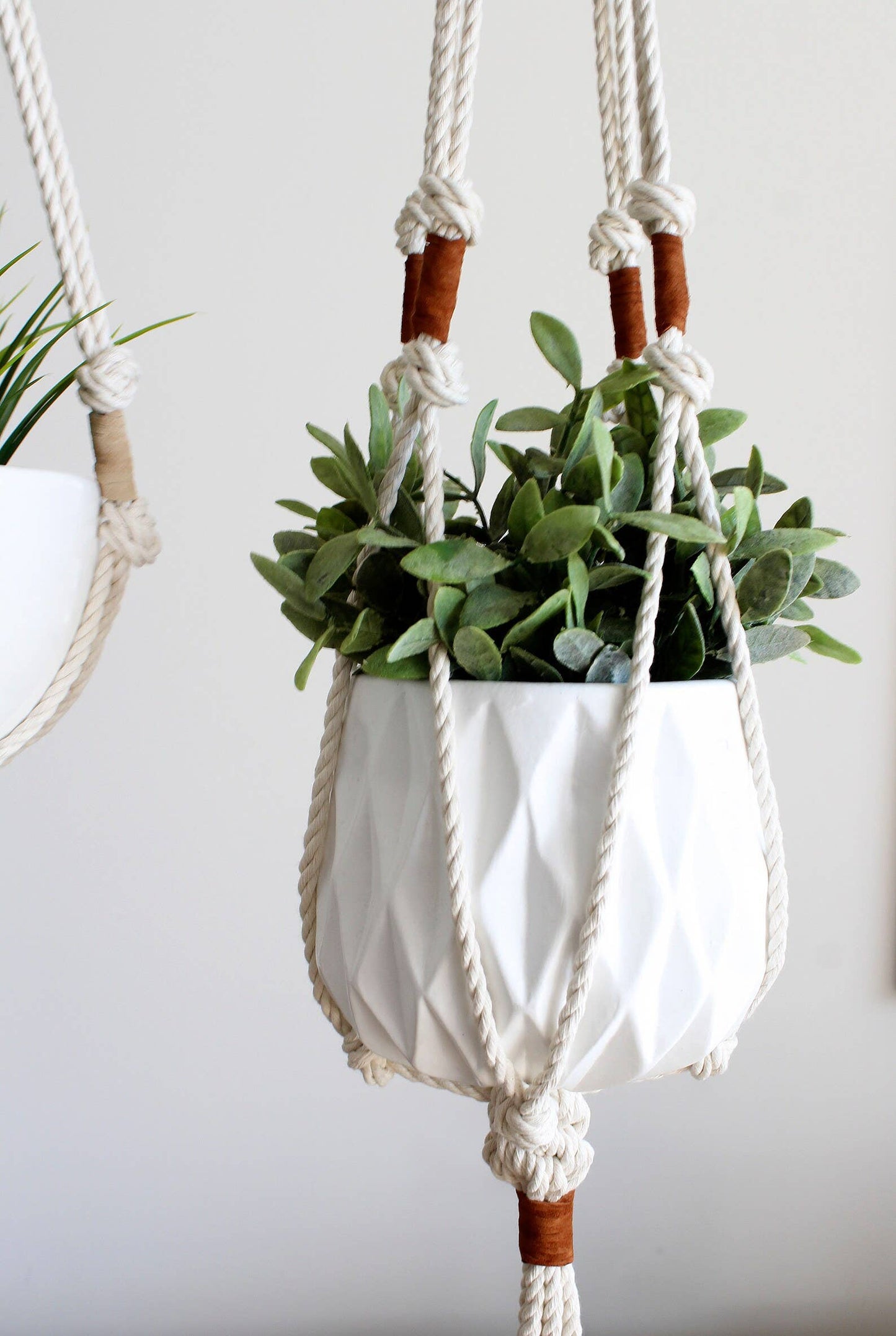 Macrame Plant Hanger, Hanging Planter, Cotton & Leather Sued: 1