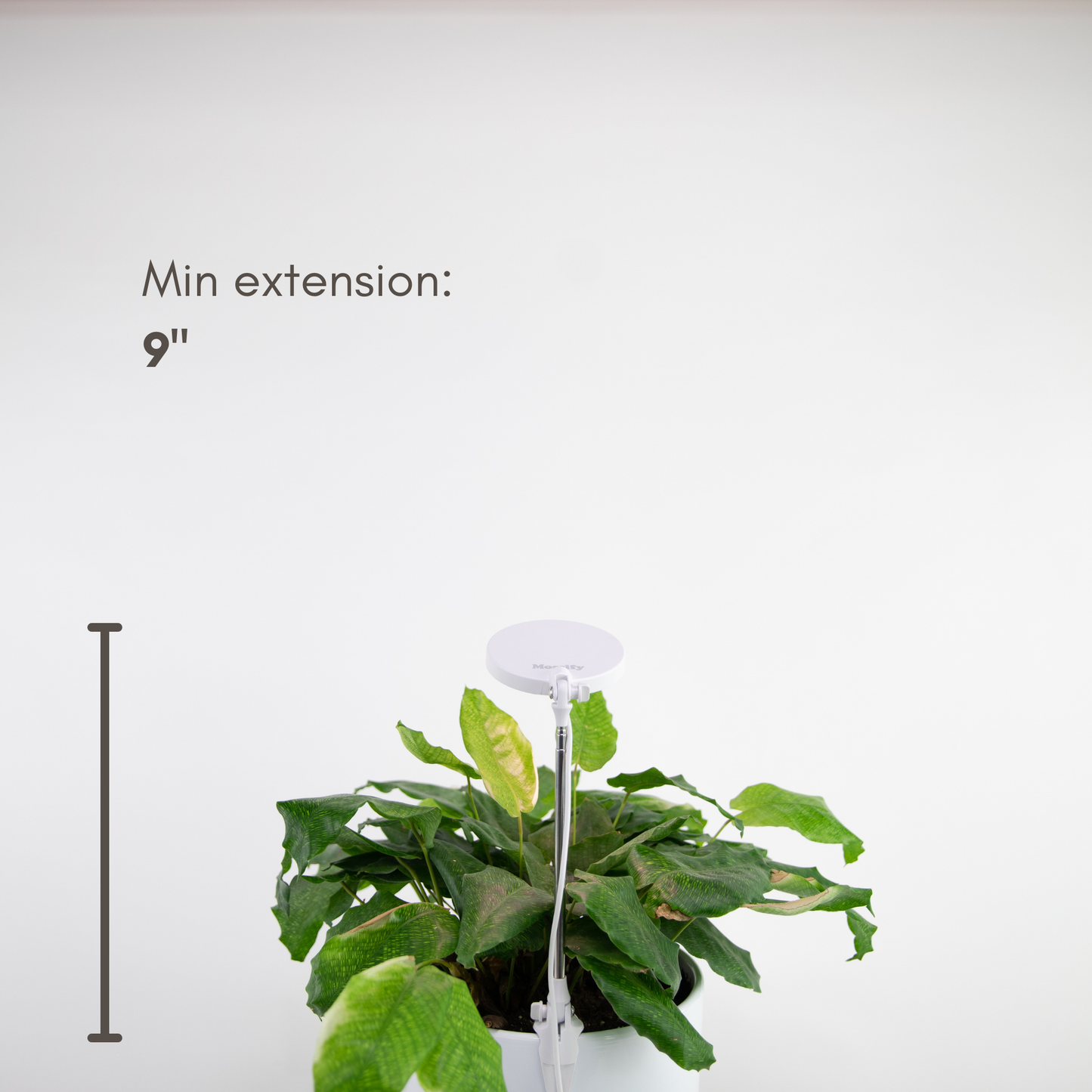 Adjustable LED Plant Light: Black