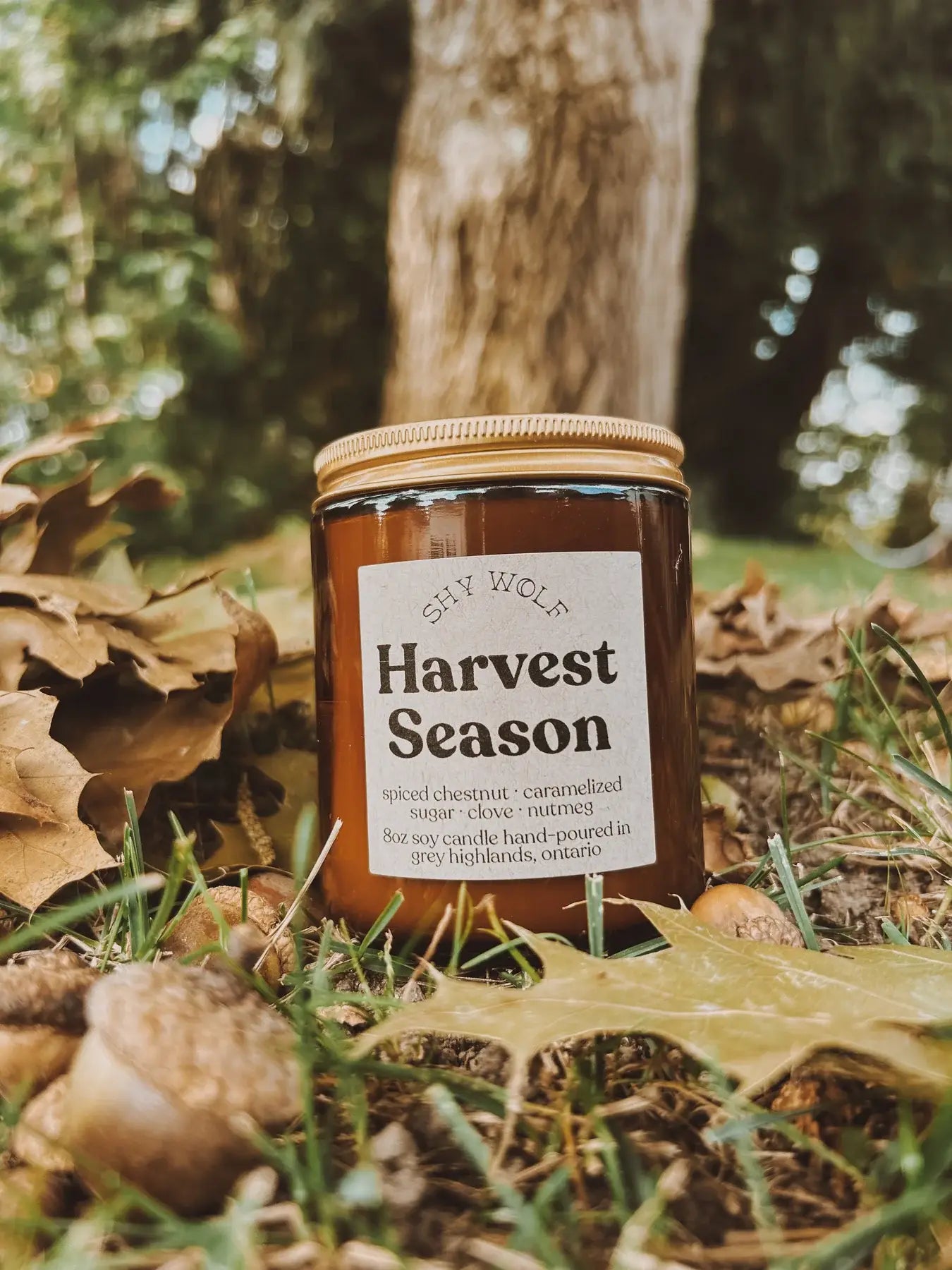 Harvest Season - Fall Candle, Autumn Decor, Nutmeg Clove