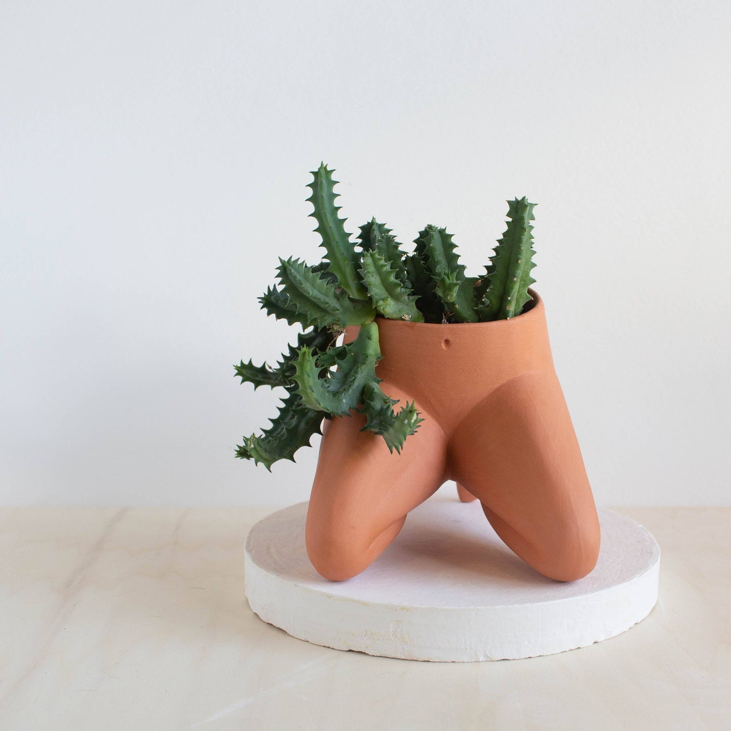 Heel Sit Leggy - Terracotta