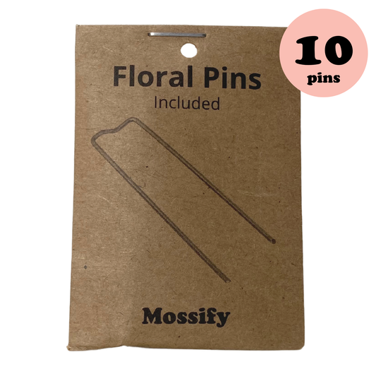 Floral Pins - Greening Pins - Moss Pole Pins - Hold Your Pla: 10 pins