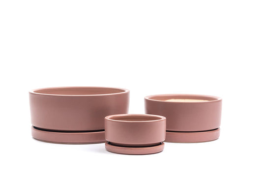 8.25" Gemstone Low-Bowls with Water Saucers: Dusty Rose